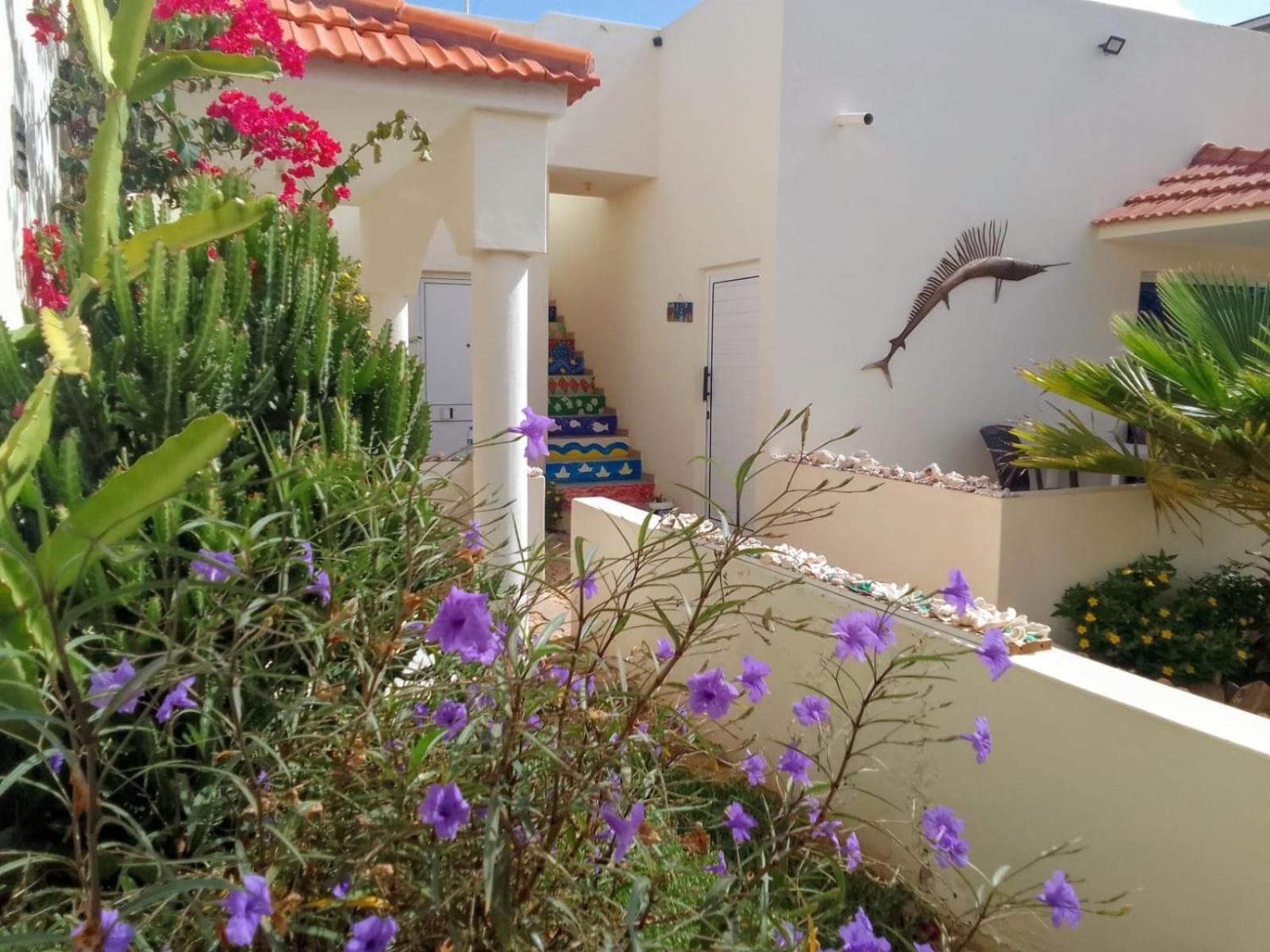 Casa Djarmai Boutique Apartments Cidade do Maio المظهر الخارجي الصورة